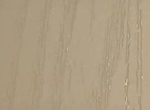 NF23